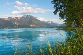 Golden hour view of Doussard beach on Lake Annecy with calm water, reeds on the shore, and misty alpine mountains in the background.