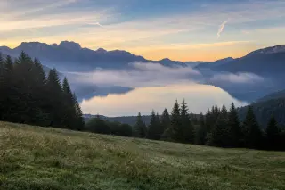 Serene dawn view of Lake Annecy and surrounding Alps from a misty meadow, with pine forests and distant blue mountains reflected on the calm water.